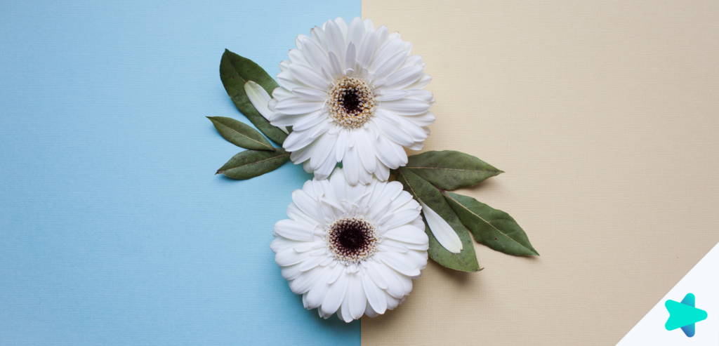 úspěchů, o které se zasloužily ženy